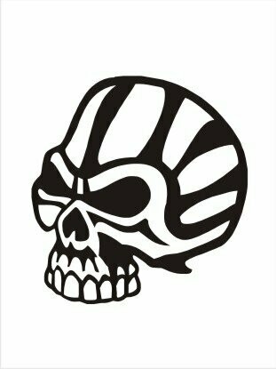 Skull
