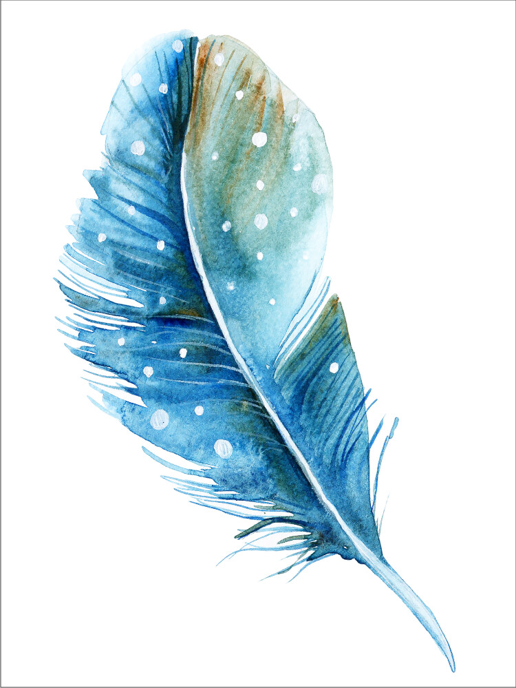 Feather
