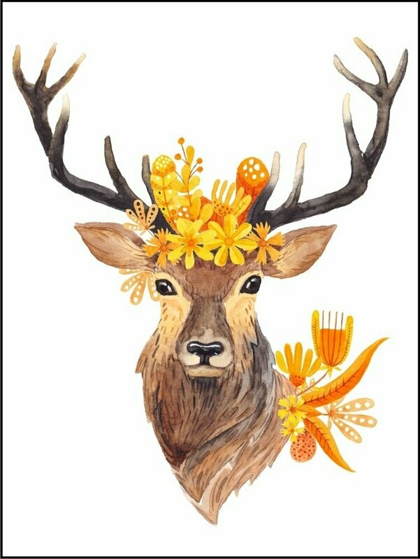 Deer
