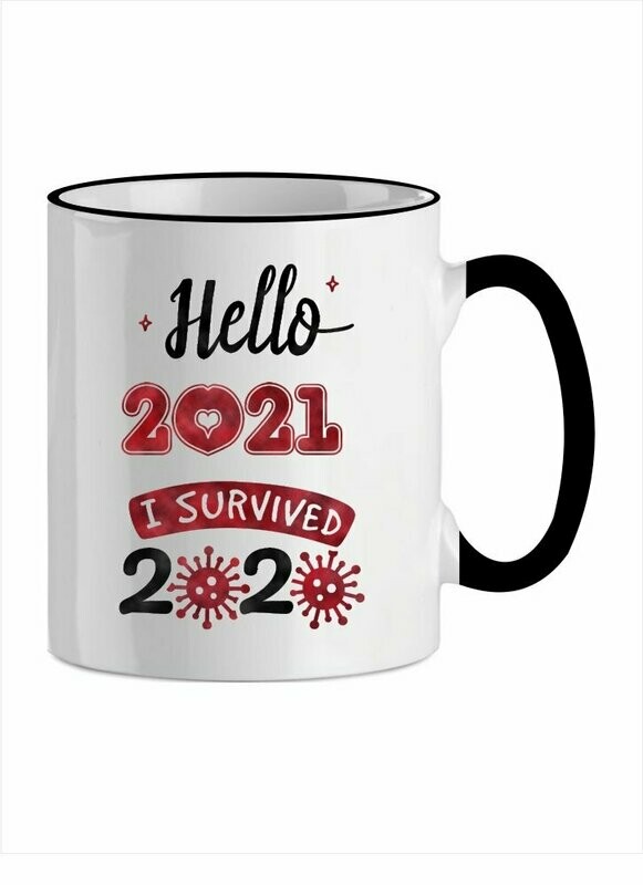 I SURVIVED 2020