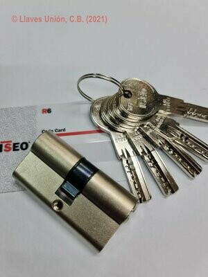 Cilindro ISEO R6 30x30 mm. Niquelado. Llave Seguridad. Leva Corta