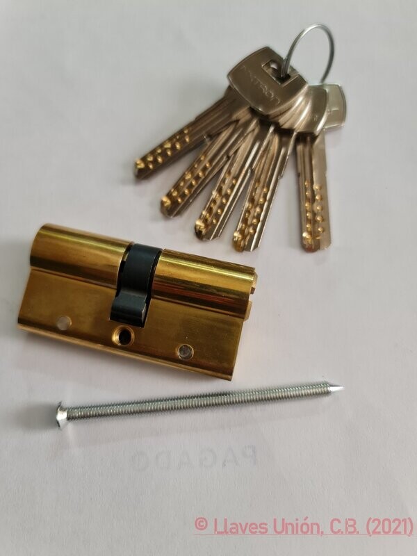 Cilindro Seguridad IXXTRON BS972 30X30 mm. Latonado. Antipánico
