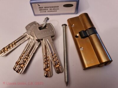 Cilindro Seguridad IXXTRON BS970 30X40 mm. Latonado