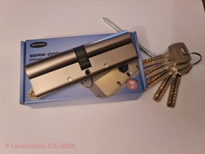 Cilindro Seguridad IXXTRON BS970 50X50 mm. Niquelado