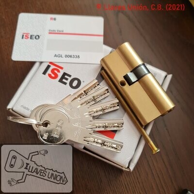 Cilindro ISEO R6 30x40 mm. Latonado. Llave Seguridad. Leva Larga