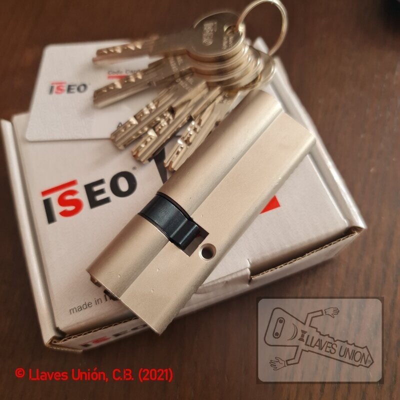Cilindro ISEO R6 30x60 mm. Niquelado. Llave Seguridad. Leva Corta