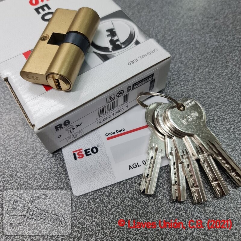 Cilindro ISEO R6 28x28 mm. Latonado. Llave Seguridad. Leva Larga