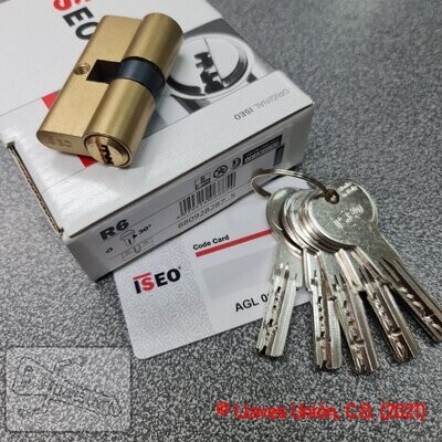 Cilindro ISEO R6 28x28 mm. Latonado. Llave Seguridad. Leva Larga