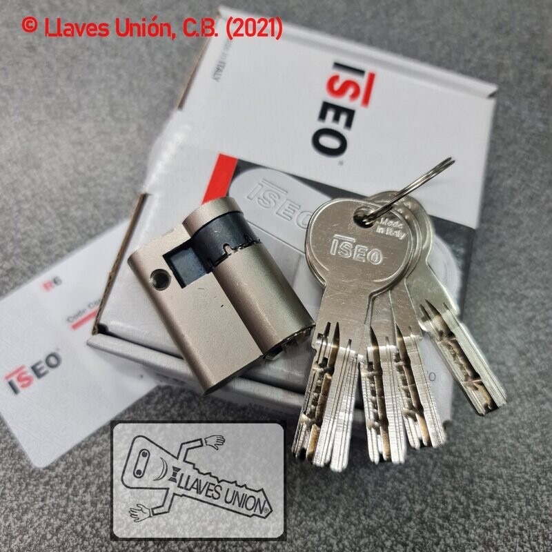Cilindro ISEO R6 30x10 mm. Niquelado. Llave Seguridad. Leva Larga