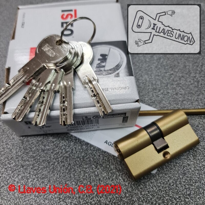 Cilindro ISEO R6 30x30 mm. Latonado. Llave Seguridad. Leva Larga