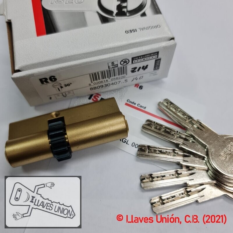 Cilindro ISEO R6 30x40 mm. Latonado. Llave Seguridad. Leva Rueda 14 Dientes