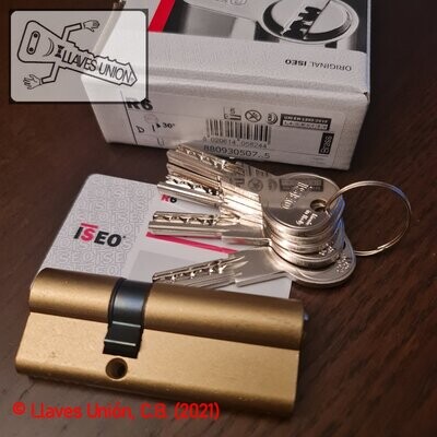 Cilindro ISEO R6 30x50 mm. Latonado. Llave Seguridad. Leva Larga