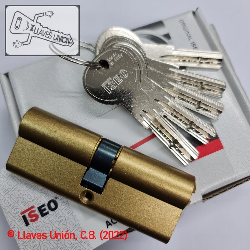 Cilindro ISEO R6 40x40 mm. Latonado. Llave Seguridad. Leva Larga