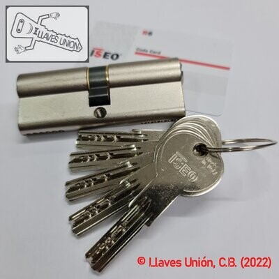 Cilindro ISEO R6 40x40 mm. Niquelado. Llave Seguridad. Leva Larga
