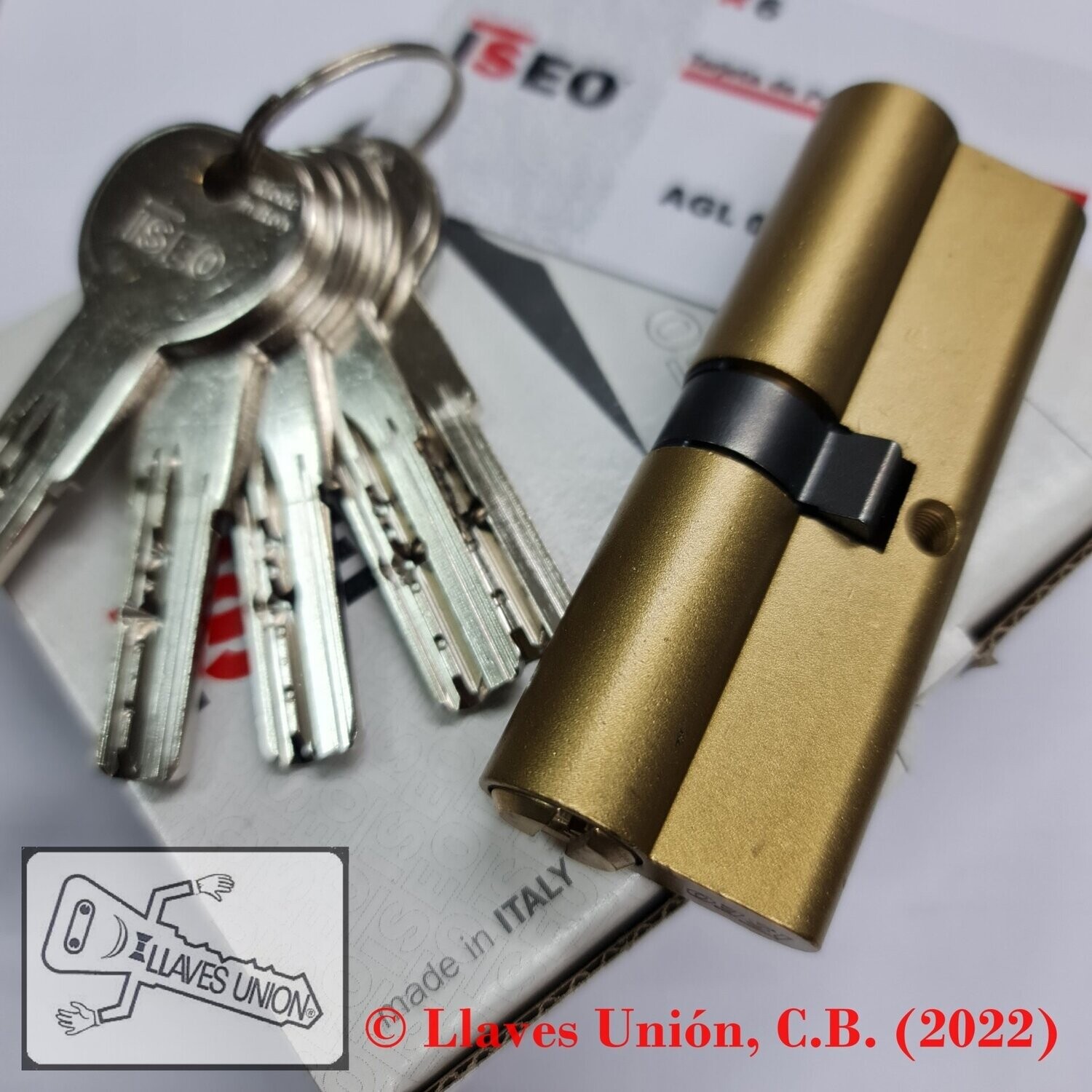 Cilindro ISEO R6 40x45 mm. Latonado. Llave Seguridad. Leva Larga