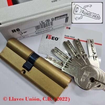 Cilindro ISEO R6 40x50 mm. Latonado. Llave Seguridad. Leva Larga