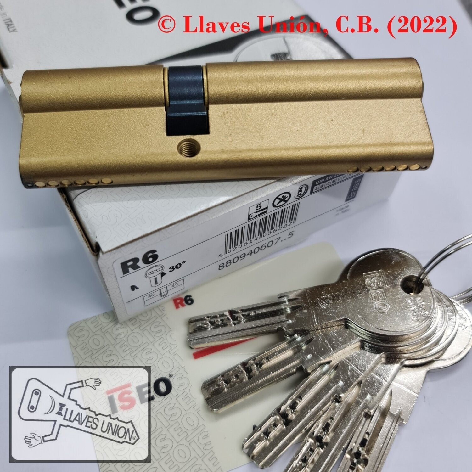 Cilindro ISEO R6 40x60 mm. Latonado. Llave Seguridad. Leva Larga