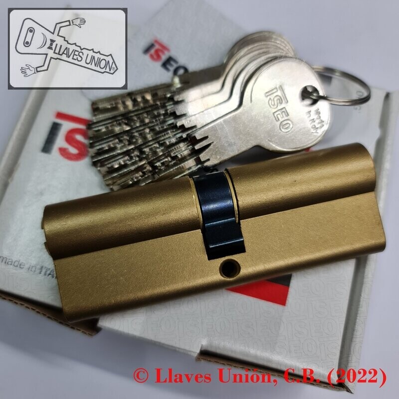 Cilindro ISEO R6 45x45 mm. Latonado. Llave Seguridad. Leva Larga
