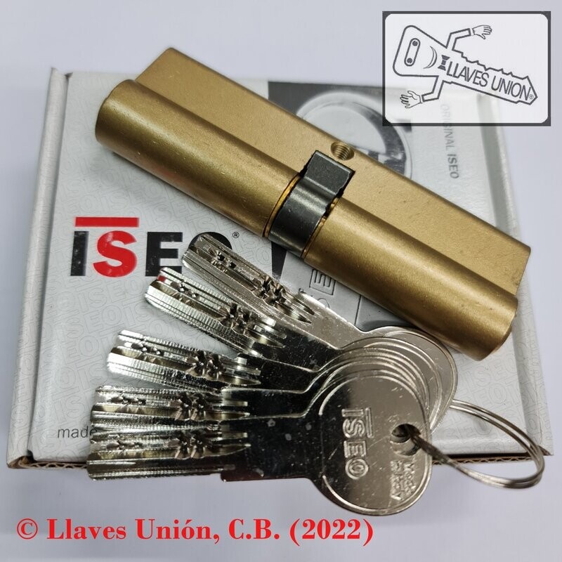 Cilindro ISEO R6 50x50 mm. Latonado. Llave Seguridad. Leva Larga