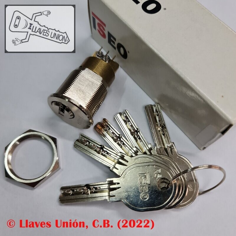 Cilindro ISEO R6 CONTACTO. Niquelado. Llave Seguridad.