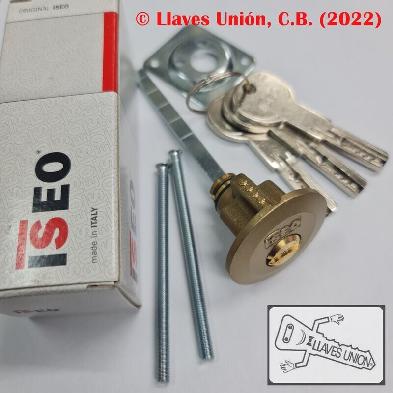 Cilindro ISEO R6 REGULABLE EXTERIOR. Latonado. Llave Seguridad.