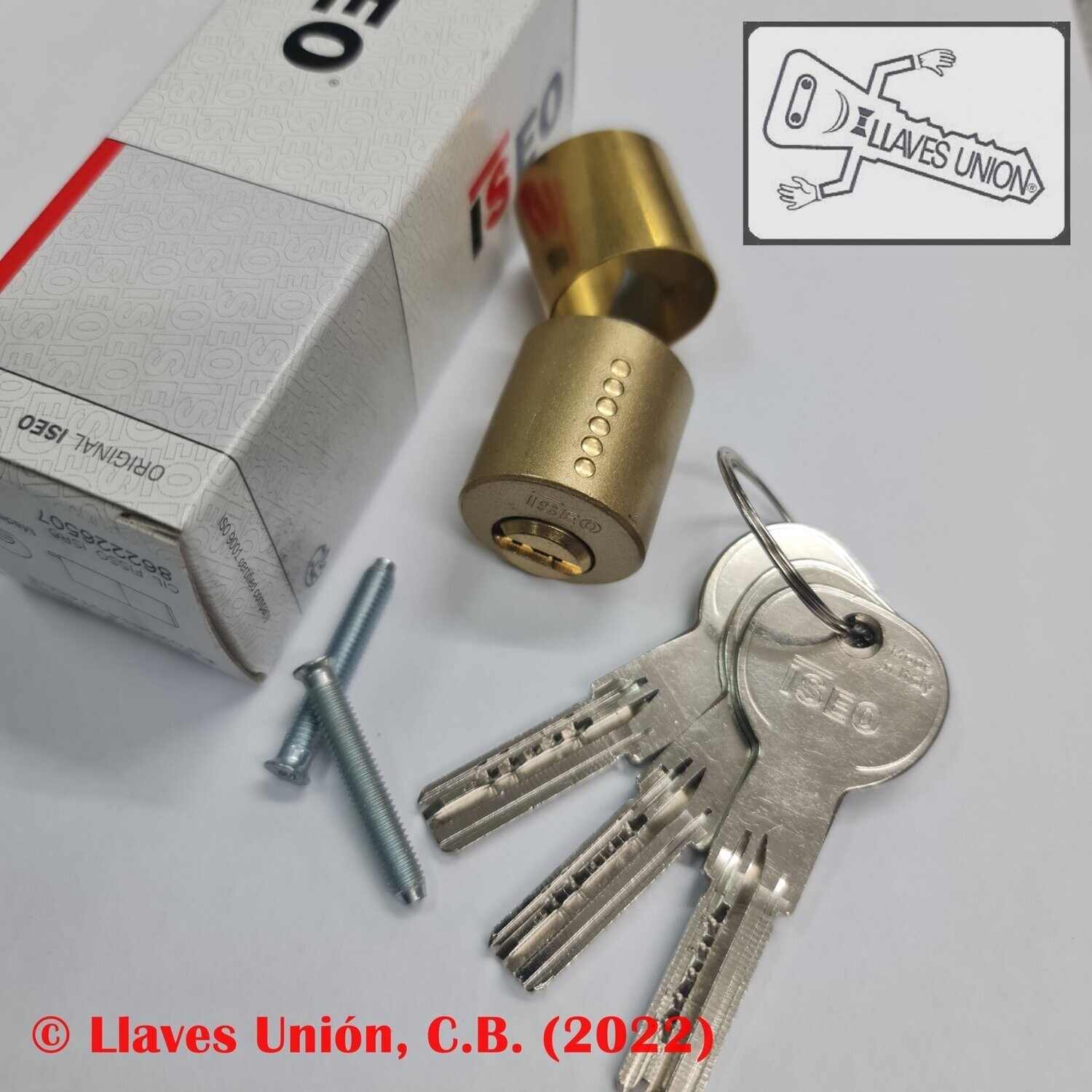 Cilindro ISEO R6 FIJO 50 MM. EXTERIOR. Latonado. Llave Seguridad.