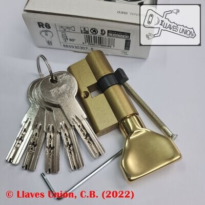 Cilindro ISEO R6 30x30 mm. Latonado. Llave Seguridad. Pomo 30. Leva Larga