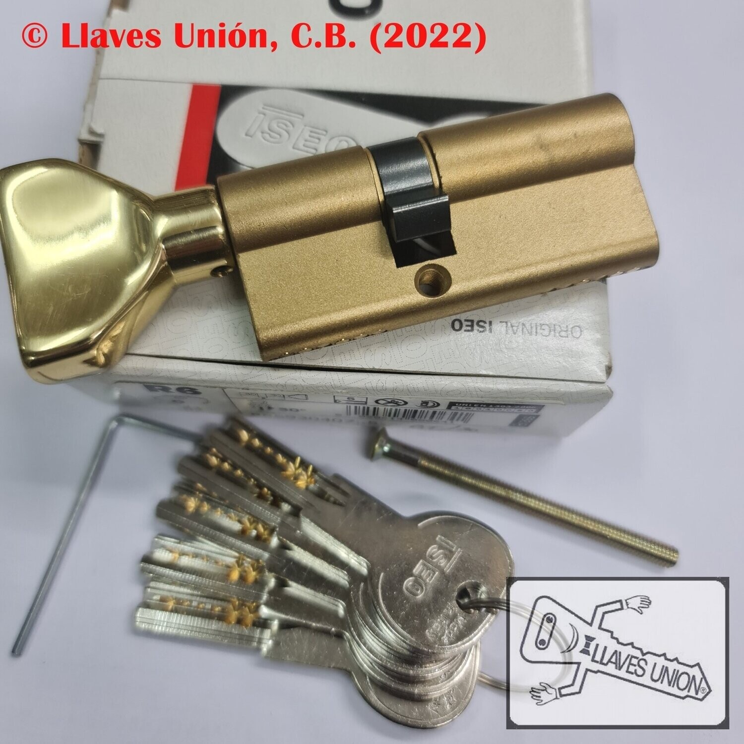 Cilindro ISEO R6 30x40 mm. Latonado. Llave Seguridad. Pomo 30. Leva Larga