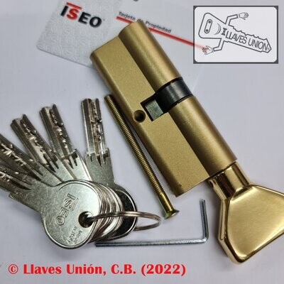 Cilindro ISEO R6 40x40 mm. Latonado. Llave Seguridad. Pomo 40. Leva Larga