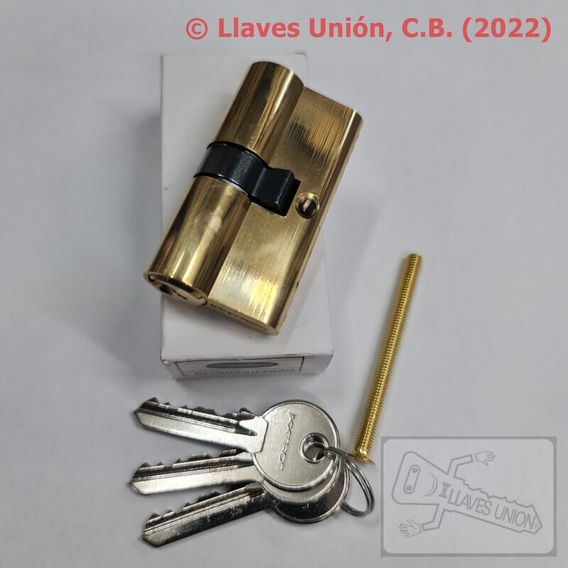 Cilindro IXXTRON BO903  30x30 mm. Latonado. Llave Serreta.