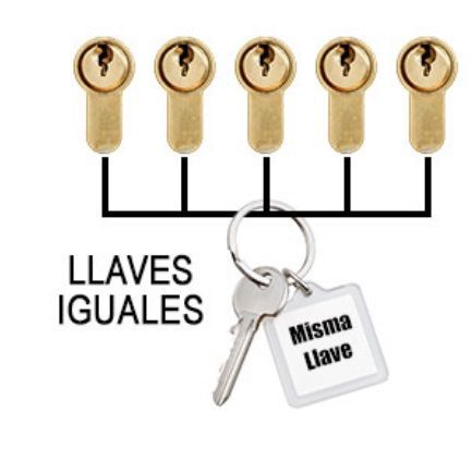 OJMAR Igualamiento