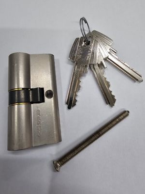 Cilindro TESA TE6 30x30 mm. Niquelado. Leva Larga Cilindro TESA TE6 30x30 mm. Niquelado. Leva Larga