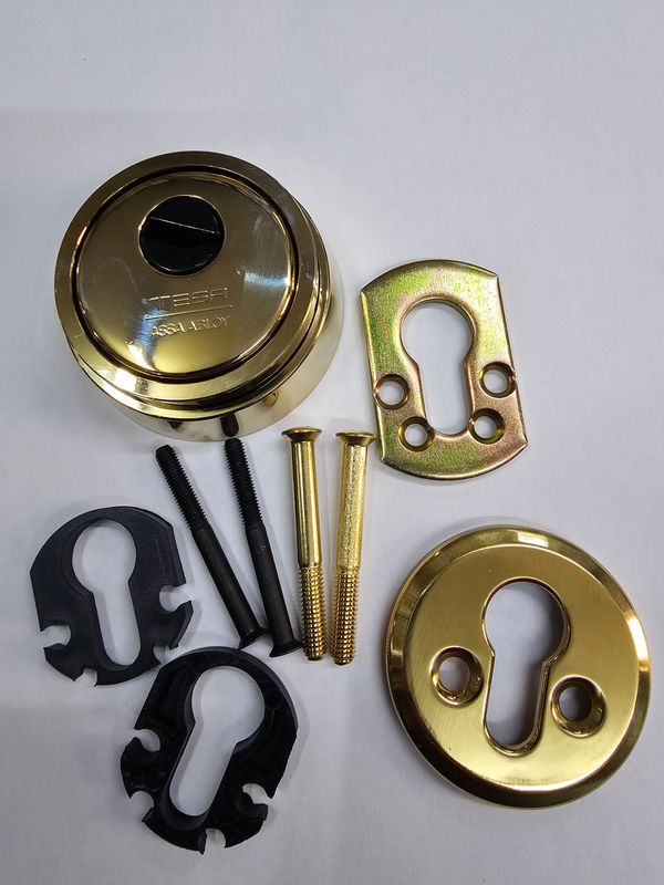 Escudo Alta Seguridad TESA E900 Latonado