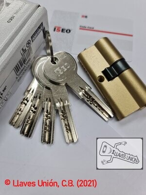 Cilindro ISEO R6 30x35 mm. Latonado. Llave Seguridad. Leva Larga Cilindro ISEO R6 30x35 mm. Latonado. Llave Seguridad. Leva Larga
