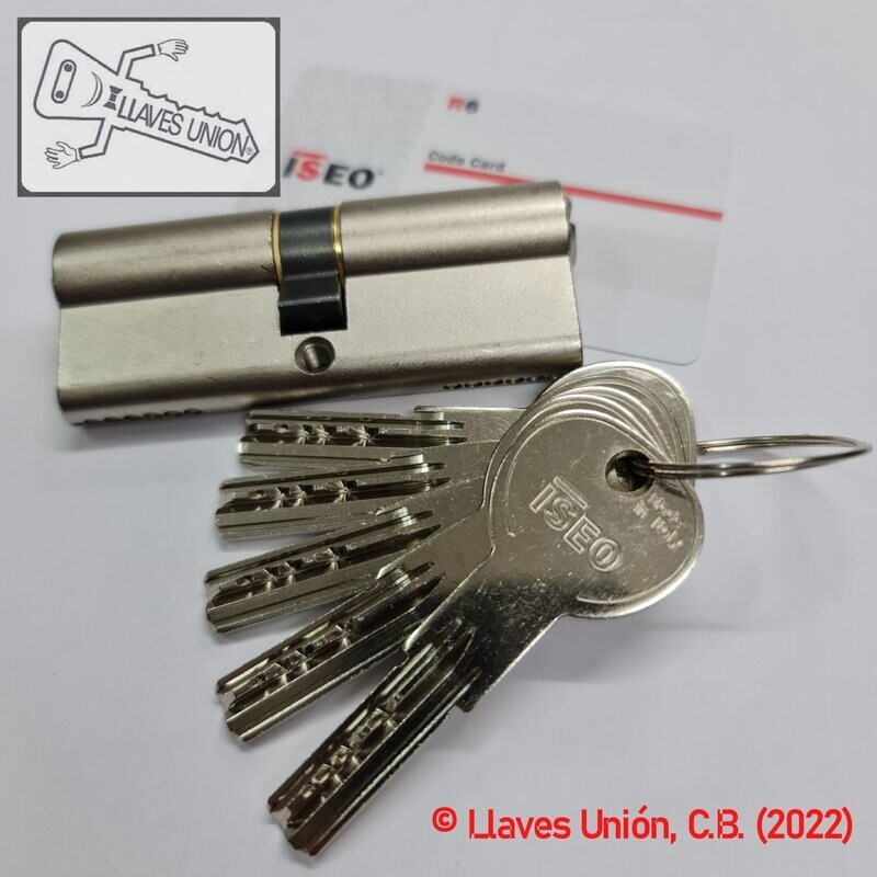 Cilindro ISEO R6 40x40 mm. Niquelado. Llave Seguridad. Leva Larga