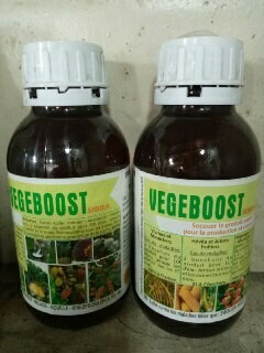 1 BOITE VEGEBOOST
