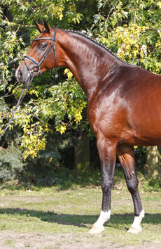 Floratio