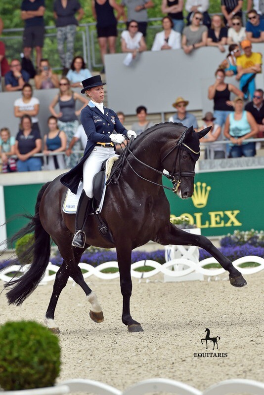 Dante Weltino