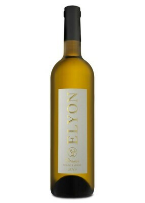 Elyon Classic White/Blanc fruity/Fruité