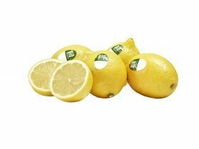 Citrons biologiques