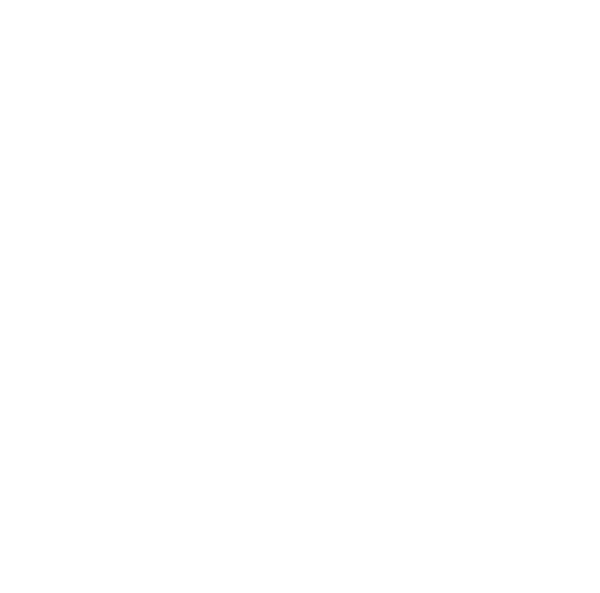 City Bride