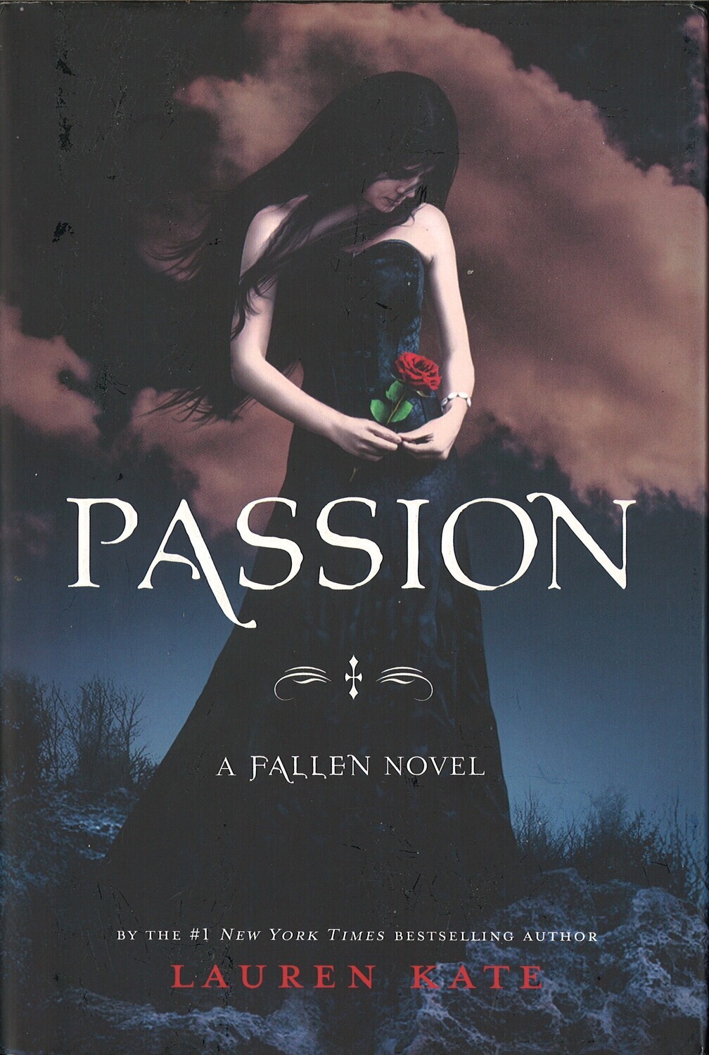 Passion  (Fallen Series #3)