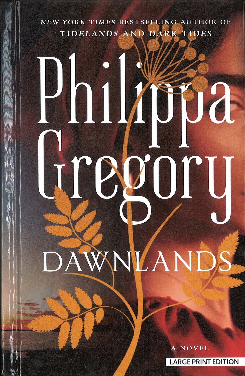 Dawnlands (Book 3 of Fairmile Series)