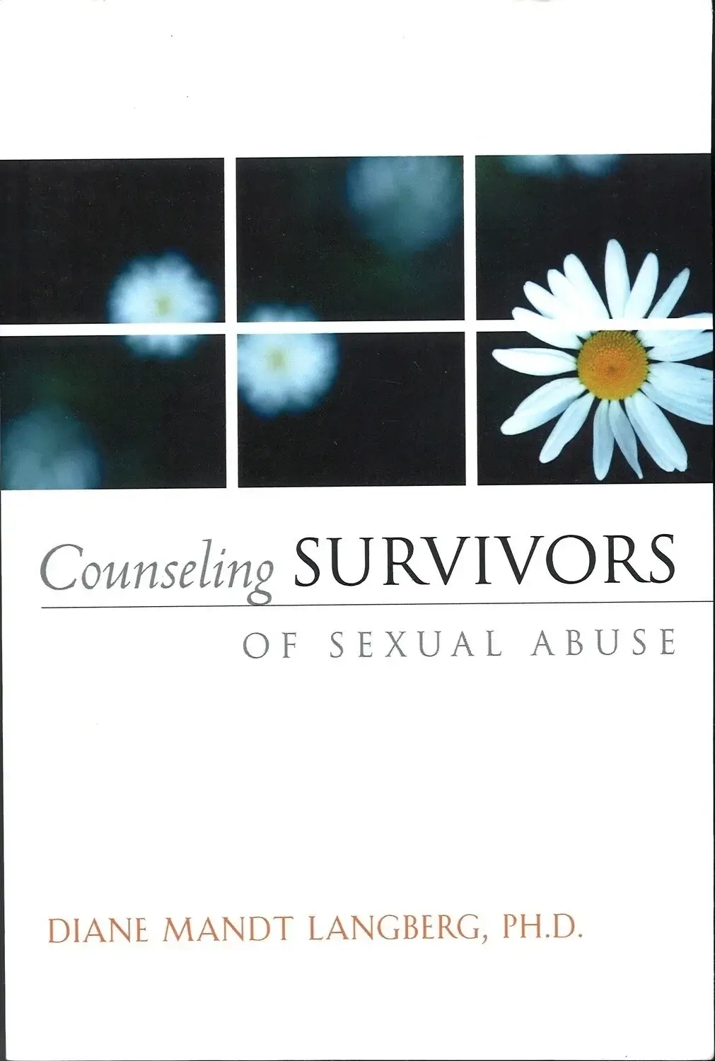 Counseling Survivors of Sexual Abuse, Diane Mandt Langberg