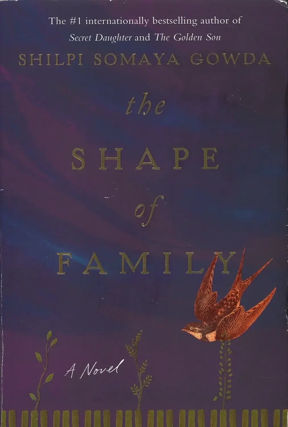 The Shape of Family by Shilpi Somaya Gowda
