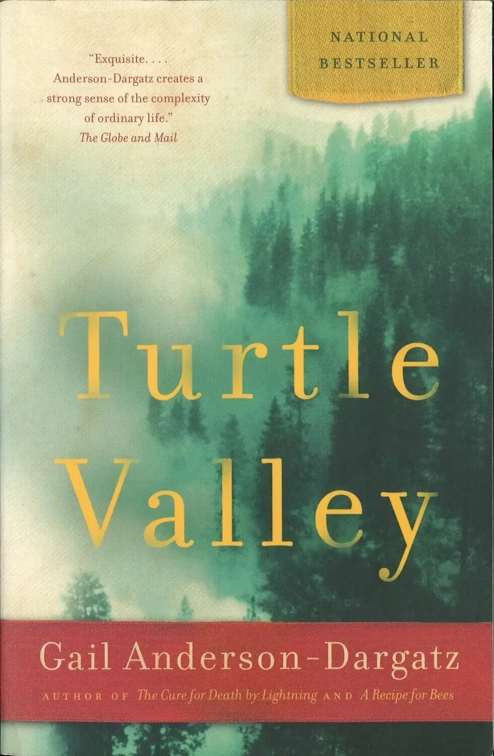 Turtle Valley by Gail Anderson-Dargatz