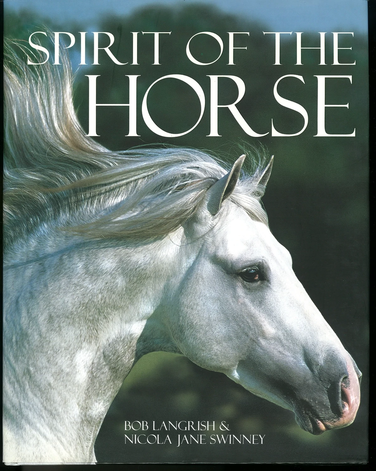 Spirit of The Horse by Bob Langrish,