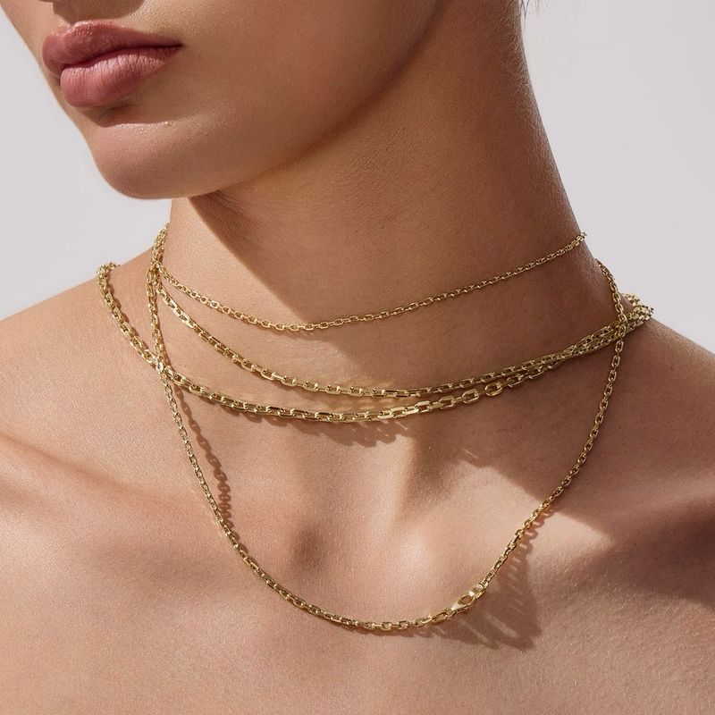 DC Biker Chain