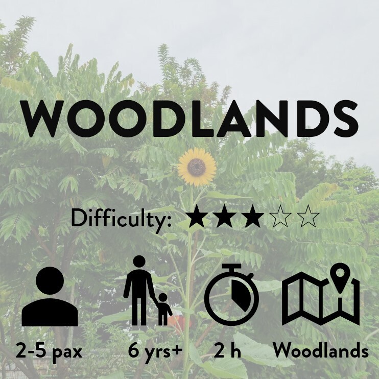 Woodlands Trail [COMING SOON!]