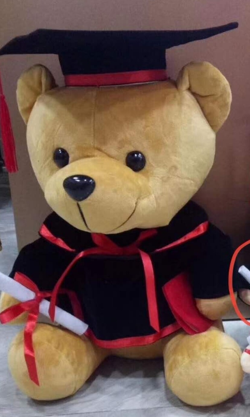 2021 graduation teddy bear